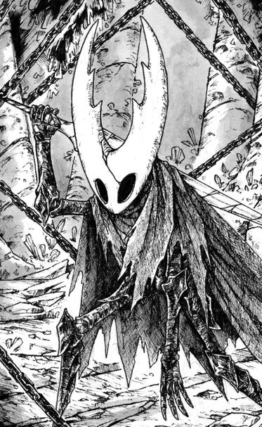 The hollow knight